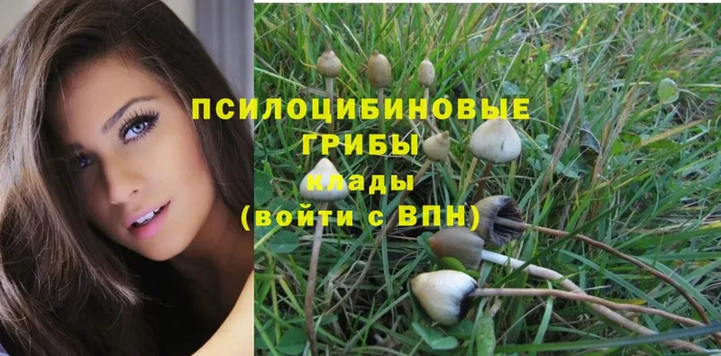 Галлюциногенные грибы MAGIC MUSHROOMS  Данков 